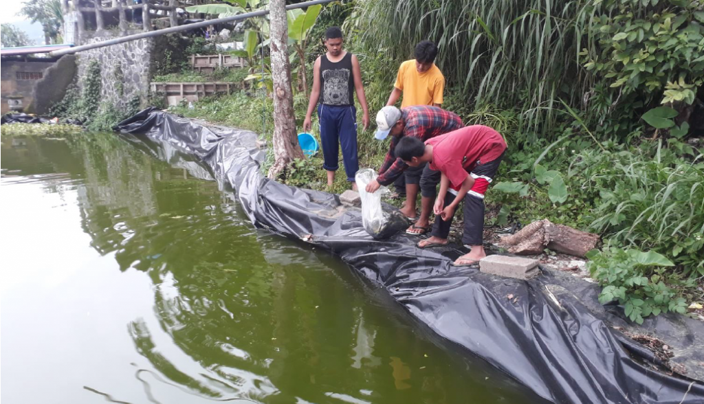 Pelatihan Budidaya Ikan