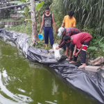 Pelatihan Budidaya Ikan